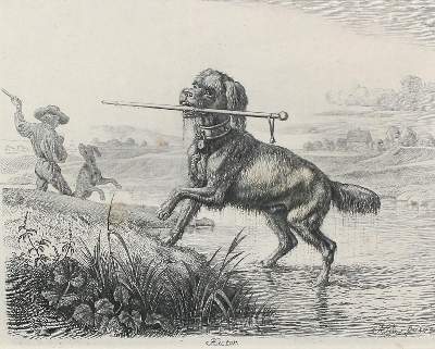 Bild Nr.1: 124-3455 Klein, Johann Adam: (Künstlergraphik)