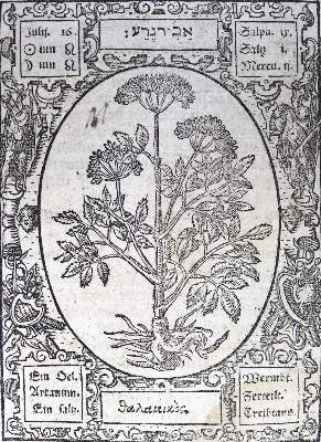 Bild Nr.4: 124-394 Thurneisser zum Thurn,L.: (Grenzwissenschaften und Okkultismus)