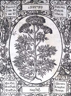 Bild Nr.5: 124-394 Thurneisser zum Thurn,L.: (Grenzwissenschaften und Okkultismus)