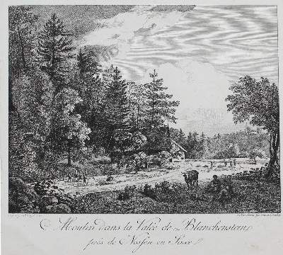 Bild Nr.1: 124-4006 Schumann, Johann Gottlob: (Künstlergraphik)