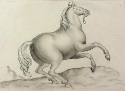 Bild Nr.1: 124-4223 Pferd.: (Künstlergraphik, Zeichnung)