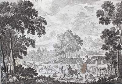 Bild Nr.1: 124-54 Krauss,J.U.: (Bibeln)