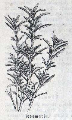 Bild Nr.2: 124-740 Rottenhöfer,J.: (Küche und Haushalt, Kochbücher)