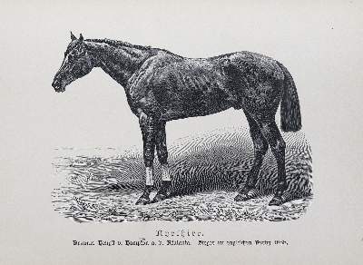 Bild Nr.2: 124-794 Wrangel,C.G.v.: (Land- und Forstwirtschaft, Tierhaltung, Pferde)
