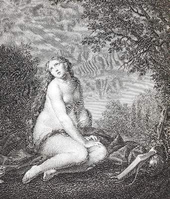 Bild Nr.1: 124-827 Haas,C.: (Kunstwissenschaft)