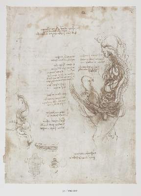Bild Nr.1: 124-842 Leonardo da Vinci.: (Kunstwissenschaft)