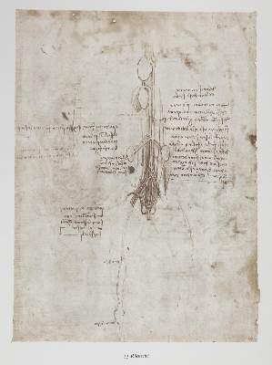 Bild Nr.2: 124-842 Leonardo da Vinci.: (Kunstwissenschaft)