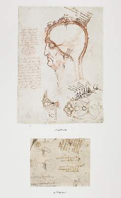 Bild Nr.4: 124-842 Leonardo da Vinci.: (Kunstwissenschaft)