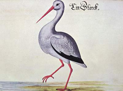 Bild Nr.11: 124-876 Baldner,L.: (Faksimile)