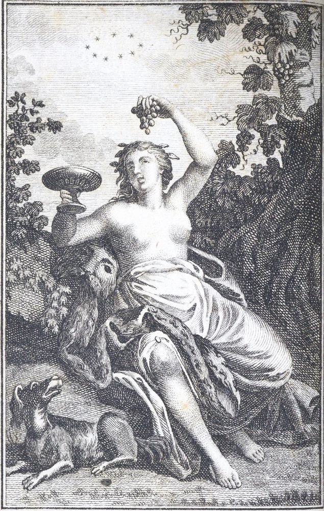 Große Abbildung Nr.1: 125-1042 Blumenstrauß: (Almanache)