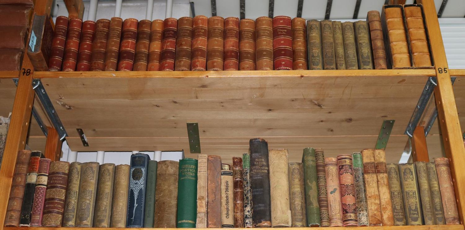Große Abbildung Nr.21: 125-1183 Sammlung: (Literatur und illustrierte Bücher bis 19.Jahrhundert)