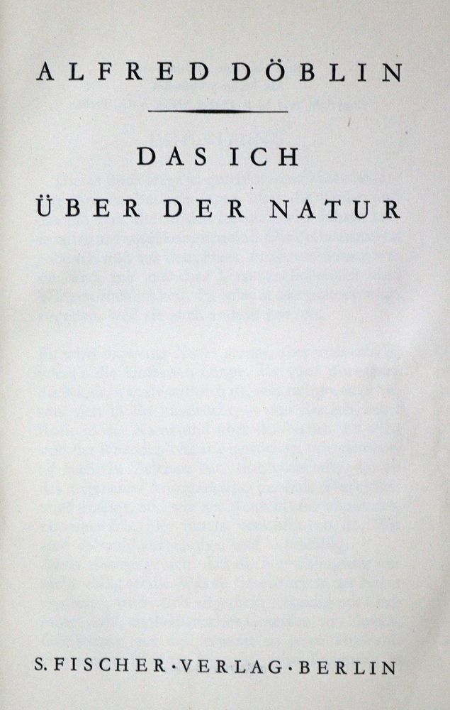 Große Abbildung Nr.2: 125-1274 Döblin,A.: (Literatur und illustrierte Bücher 20.Jahrhundert - Alte Literatur in modernen Ausgaben)