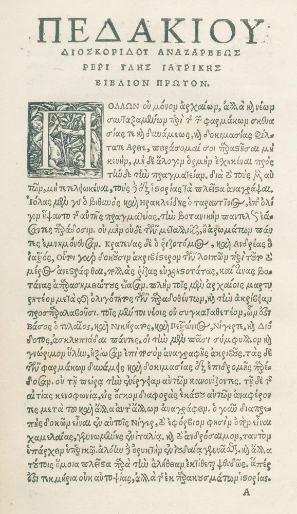 Große Abbildung Nr.2: 125-136 Dioscorides,P.: (Alte Drucke, Handschriften und Theologie)