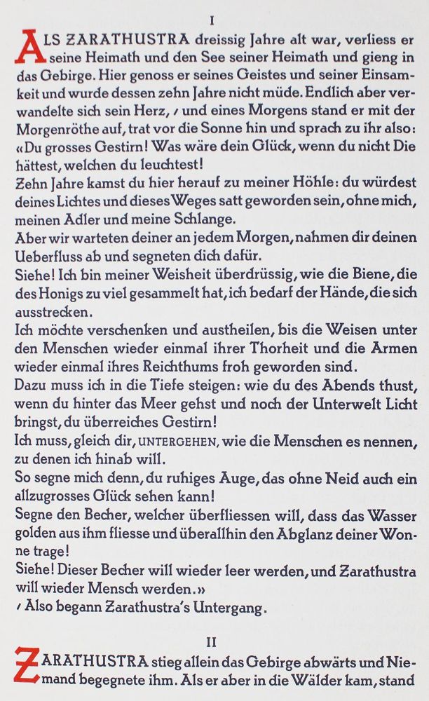 Große Abbildung Nr.2: 125-1404 Nietzsche,F.: (Pressendrucke)