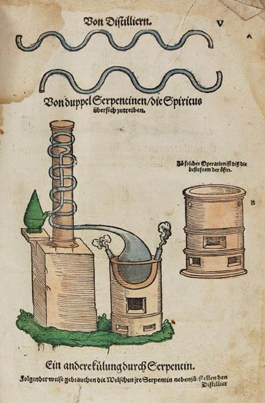 Große Abbildung Nr.1: 125-1487 Fragment: (Botanik, Kräuterbücher)