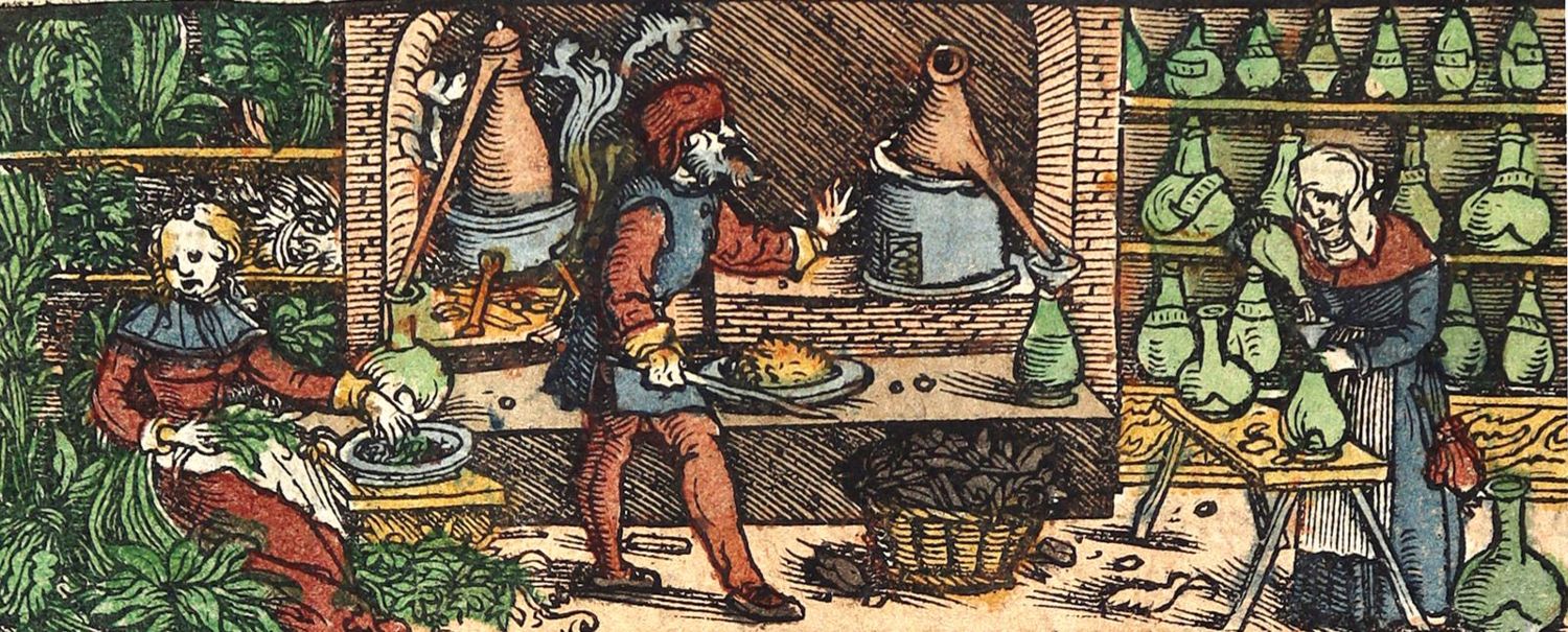 Große Abbildung Nr.2: 125-1487 Fragment: (Botanik, Kräuterbücher)