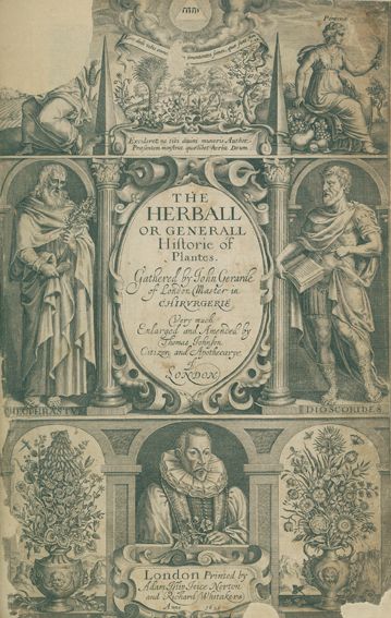 Große Abbildung Nr.1: 125-1488 Gerarde,J.: (Botanik, Kräuterbücher)