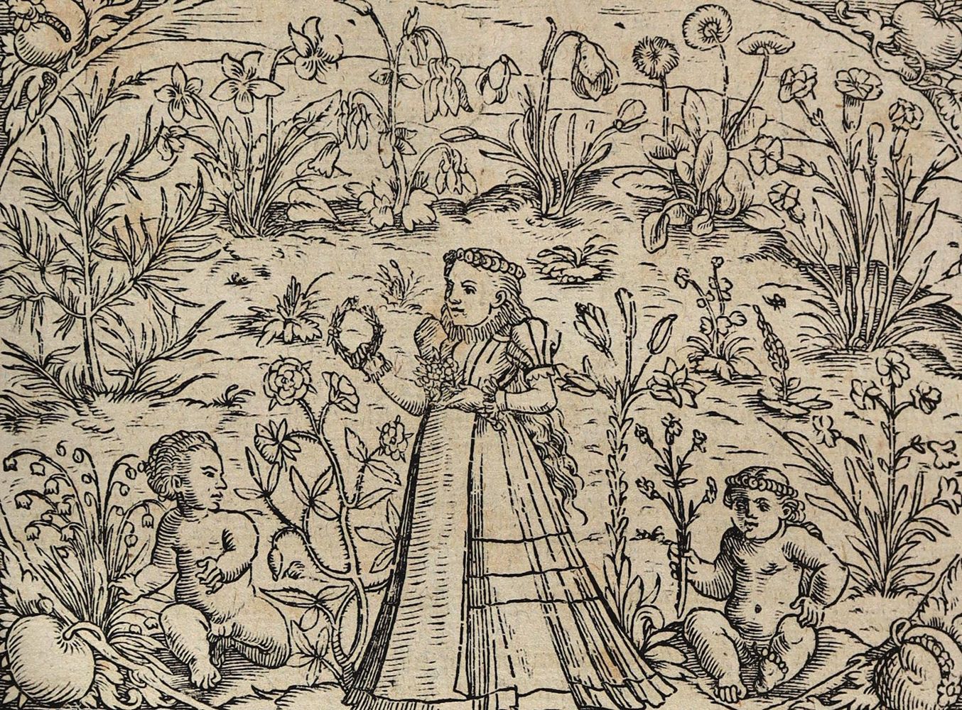 Große Abbildung Nr.3: 125-1490 Lonicer,A.: (Botanik, Kräuterbücher)