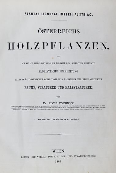Große Abbildung Nr.1: 125-1495 Pokorny,A.: (Botanik, Österreich)