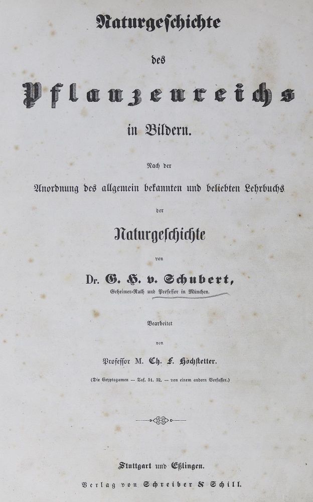 Große Abbildung Nr.1: 125-1501 Schubert,H.H.v. u. C.F.Hochstetter.: (Botanik)