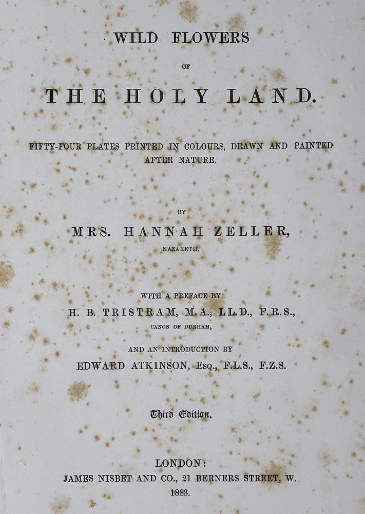 Große Abbildung Nr.1: 125-1506 Zeller,H.: (Botanik)