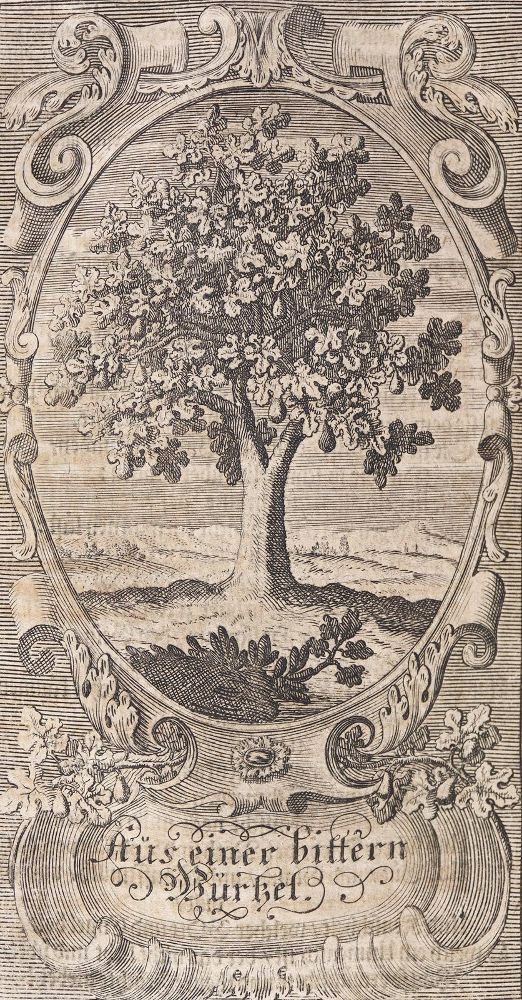 Große Abbildung Nr.1: 125-153 Arndt,J.: (Emblemata)