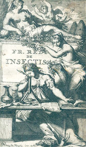 Große Abbildung Nr.1: 125-1551 Redi,F.: (Medizin, Gifte, Schlangen)