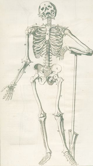 Große Abbildung Nr.1: 125-1579 Palfyn,J.: (Medizin)