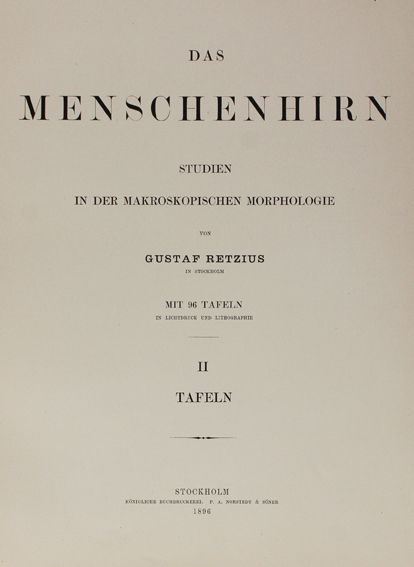 Große Abbildung Nr.1: 125-1608 Retzius,G.: (Medizin)
