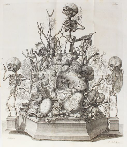 Große Abbildung Nr.1: 125-1611 Ruysch,F.: (Medizin)