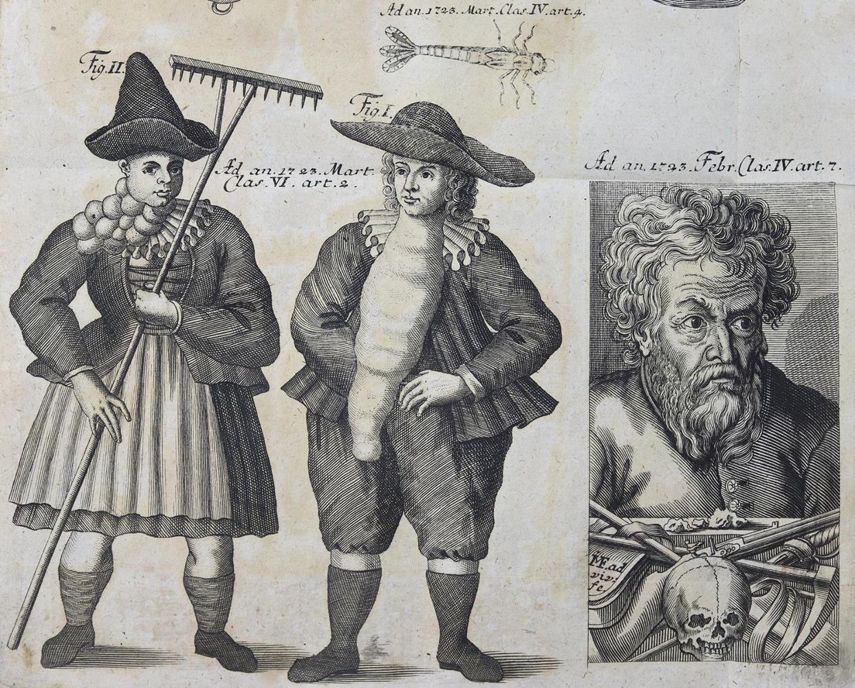 Große Abbildung Nr.2: 125-1616 Sammlung von Natur- und Medicin-: (Medizin)