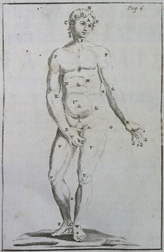 Große Abbildung Nr.2: 125-1625 Verheyen,P.: (Medizin)