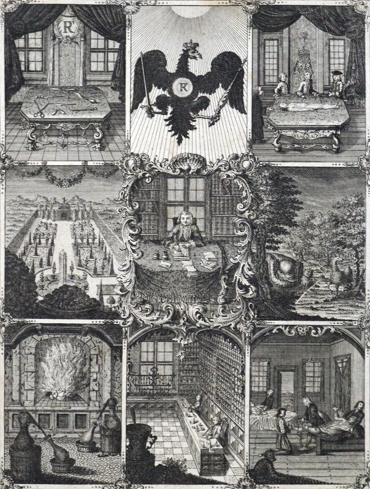 Große Abbildung Nr.3: 125-1630 Woyt,J.J.: (Medizin)