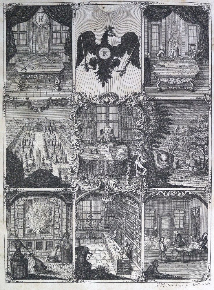 Große Abbildung Nr.1: 125-1631 Woyt,J.J.: (Medizin)