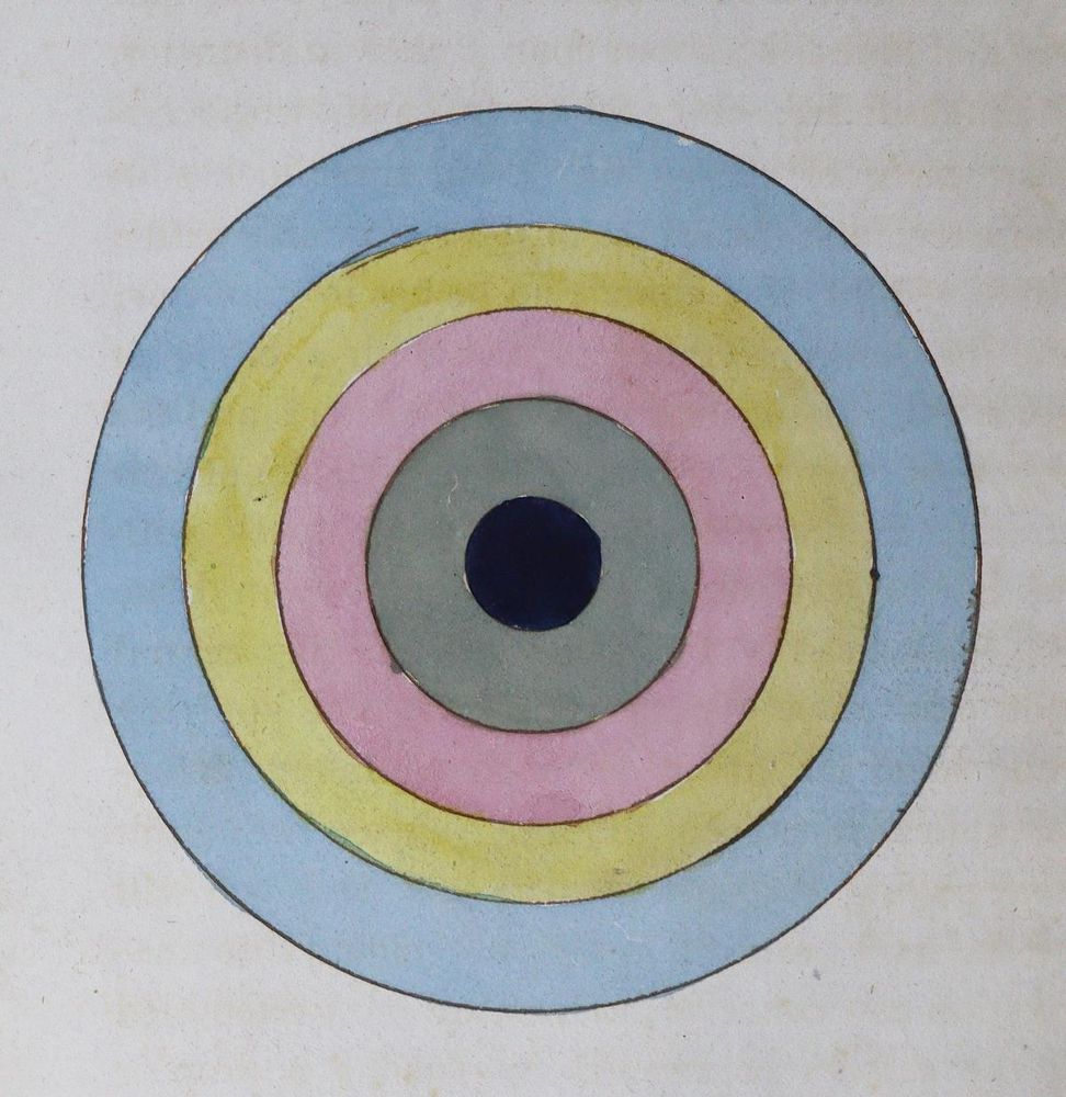 Große Abbildung Nr.2: 125-1639 Darwin,E.: (Zoologie)