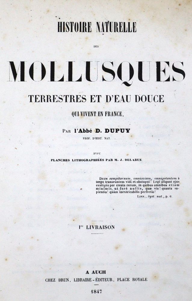 Große Abbildung Nr.1: 125-1640 Dupuy,D.: (Zoologie)