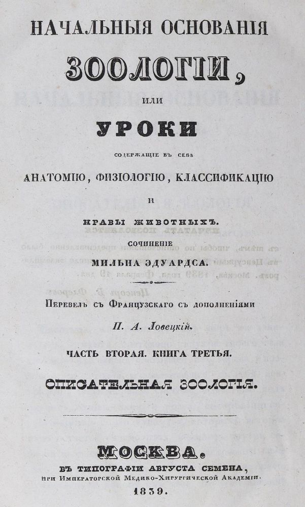 Große Abbildung Nr.1: 125-1645 Milne-Edwards,(H.).: (Zoologie, Insekten)
