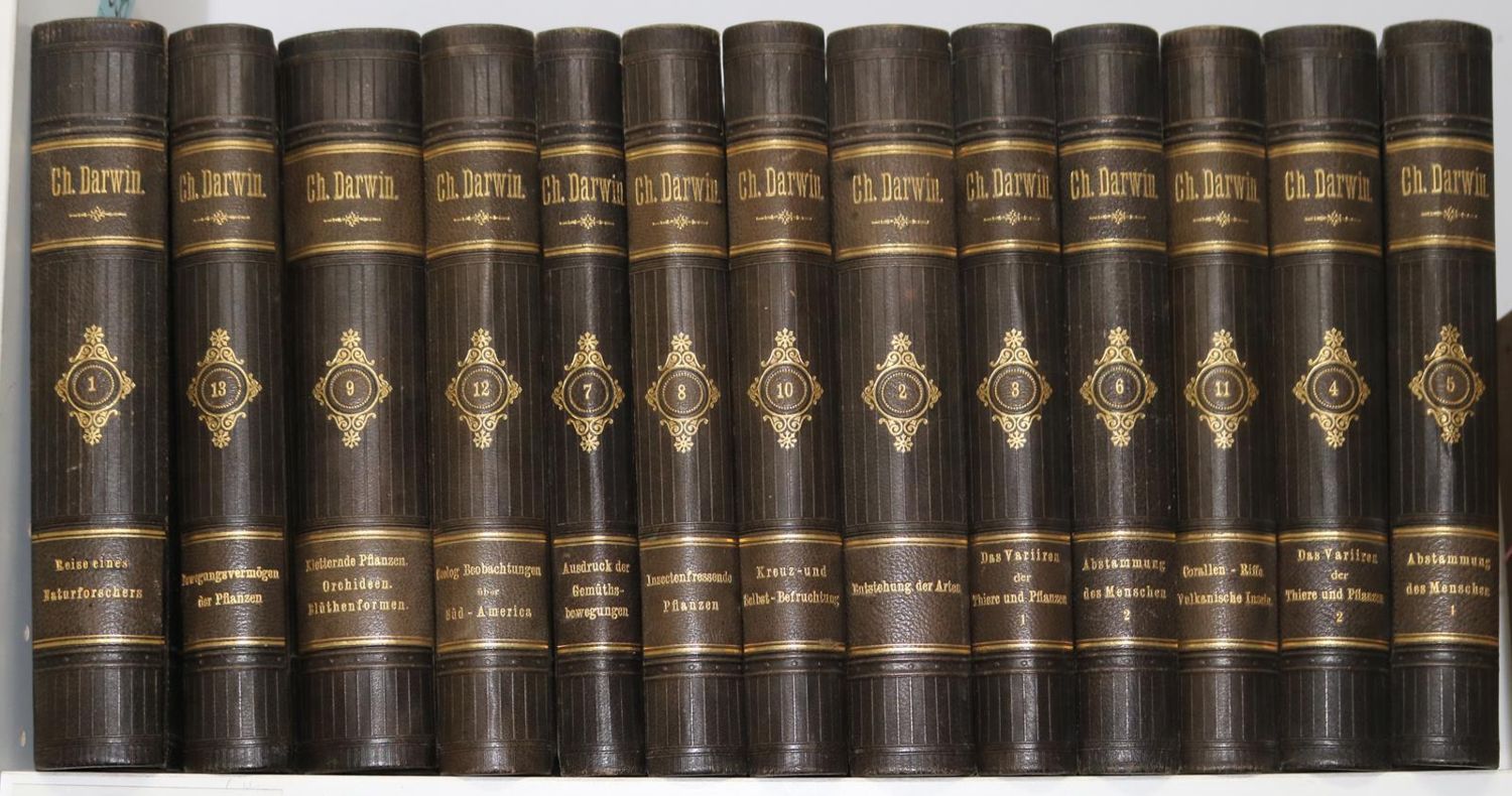 Große Abbildung Nr.2: 125-1690 Darwin,C.: (Verschiedene Gebiete - Varia)