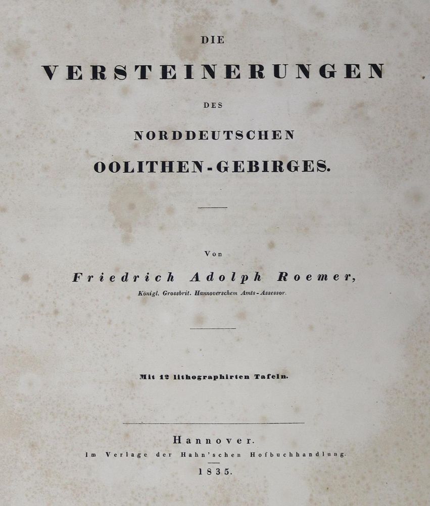 Große Abbildung Nr.2: 125-1698 Roemer,F.A.: (Verschiedene Gebiete - Varia, Geologie - Mineralogie u. Paläontologie)