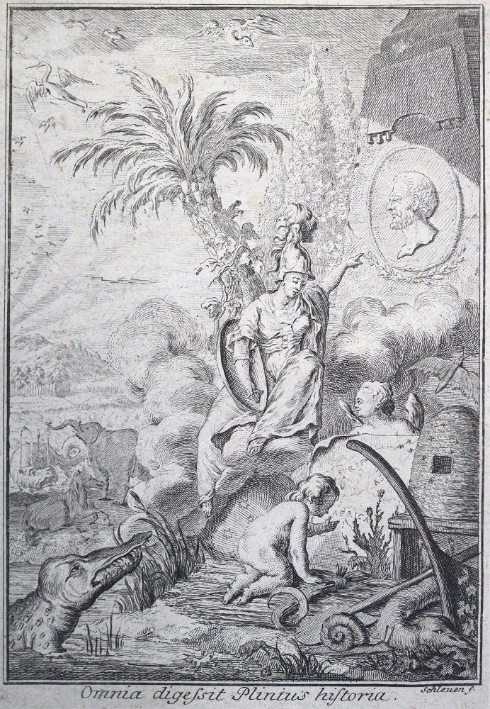 Große Abbildung Nr.1: 125-1723 Plinius (S.,G.).: (Verschiedene Gebiete - Varia)