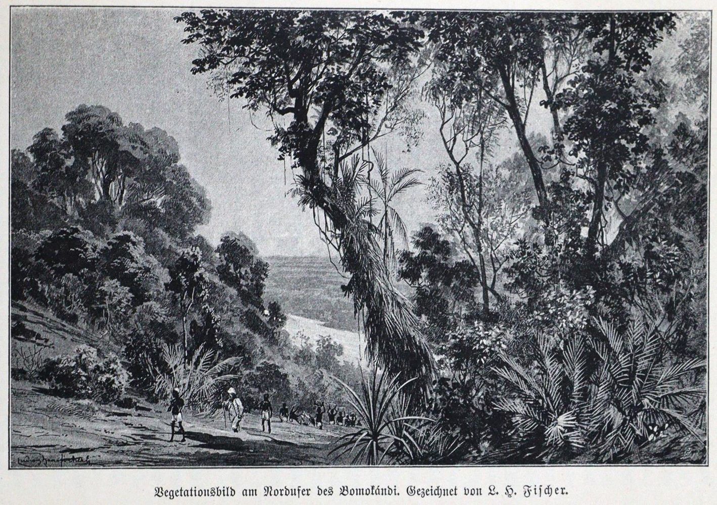 Große Abbildung Nr.3: 125-1745 Junker,W.: (Afrika)