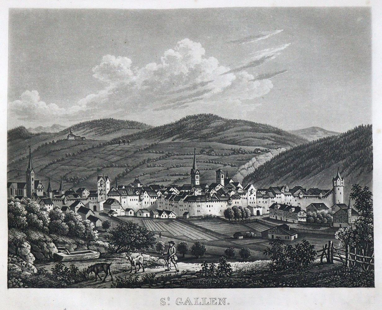Große Abbildung Nr.1: 125-2011 Naef,A.: (Schweiz)