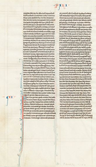 Große Abbildung Nr.1: 125-208 Bibel, lateinisch,: (Handschriften)