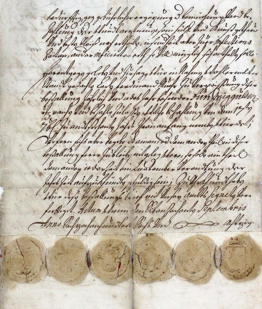 Große Abbildung Nr.2: 125-216 Bestallungsbrief: (Handschriften, Krems)