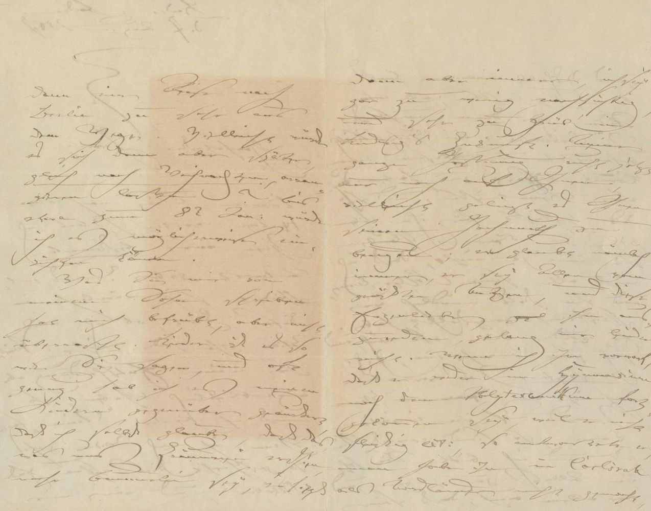 Große Abbildung Nr.2: 125-2162 Schumann, Clara: (Autographen)