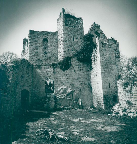 Große Abbildung Nr.1: 125-2931 Häusser, Robert: (Photographie)