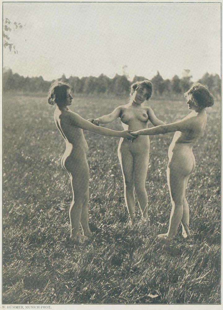 Große Abbildung Nr.17: 125-2965 Sammlung: (Photographie)