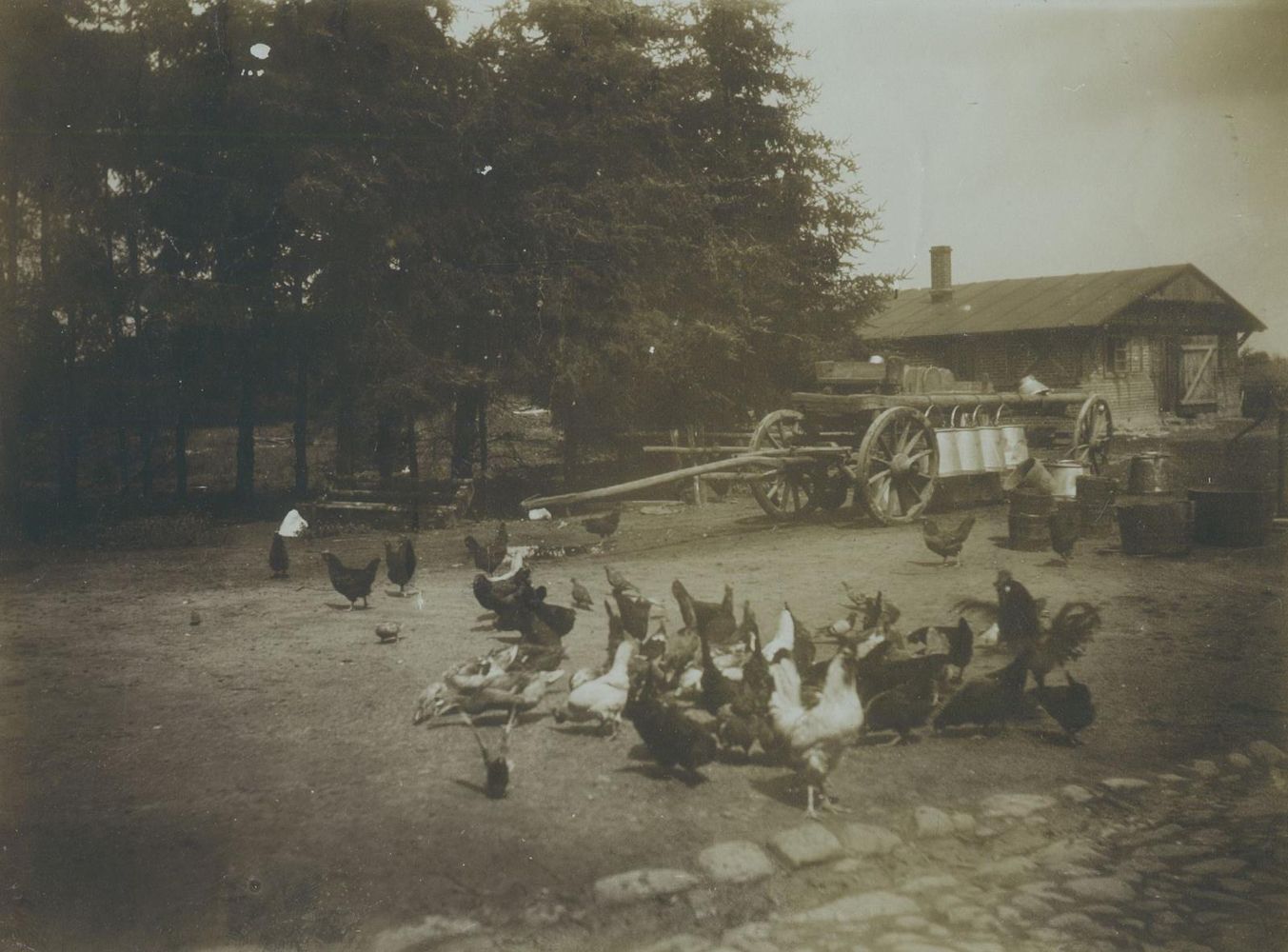 Große Abbildung Nr.18: 125-2965 Sammlung: (Photographie)