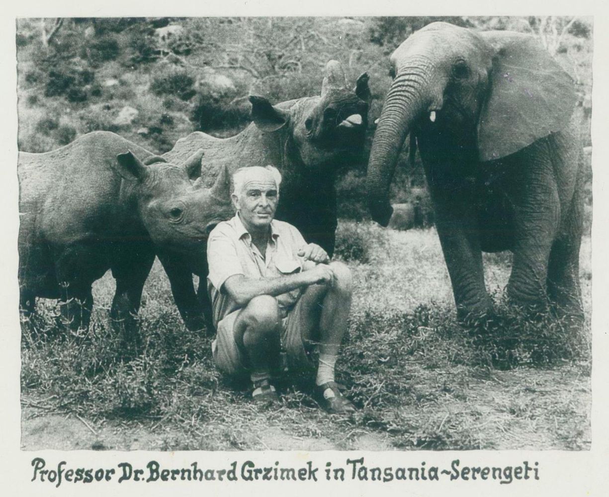 Große Abbildung Nr.19: 125-2965 Sammlung: (Photographie)