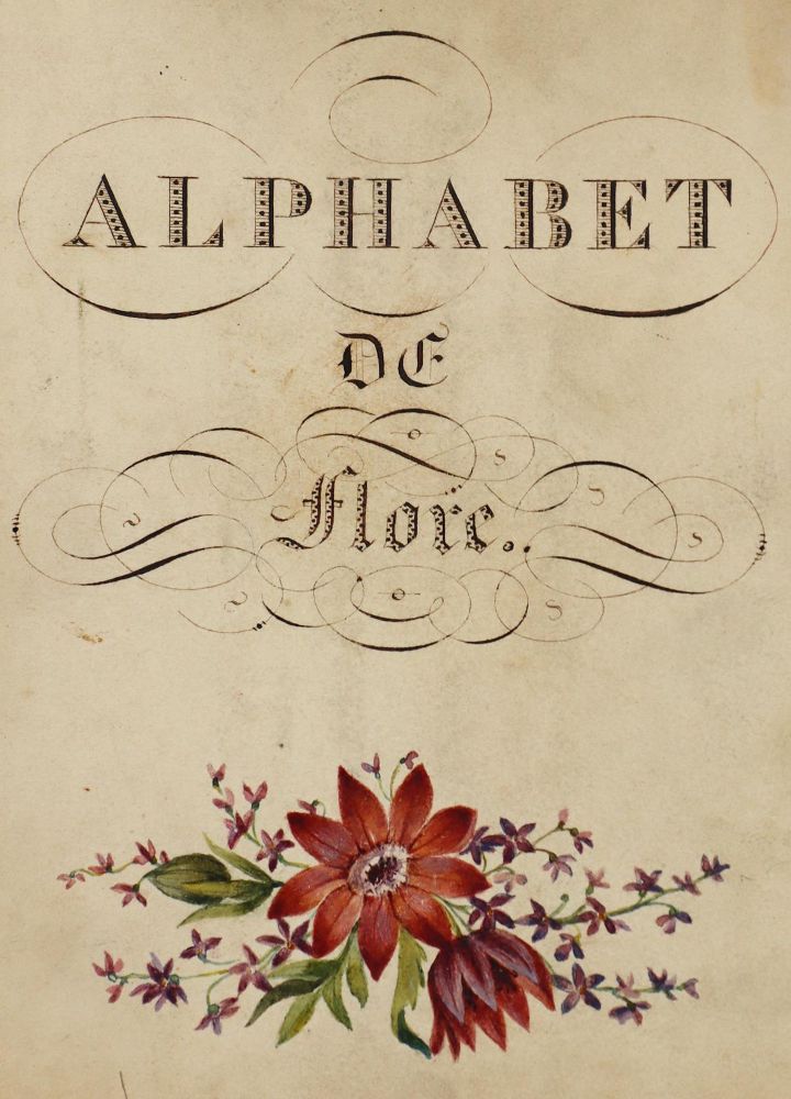 Große Abbildung Nr.2: 125-3010 Alphabet.: (Varia, Botanik, Typographie und Kalligraphie)